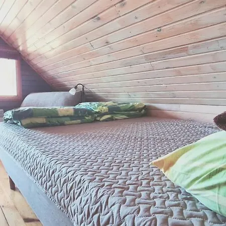 帕西隆比度假屋 * Otepää