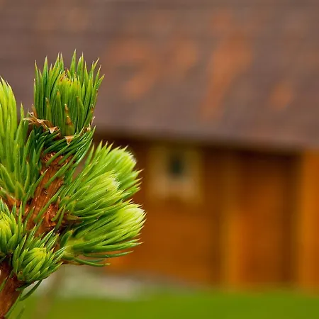 Partsilombi Otepää