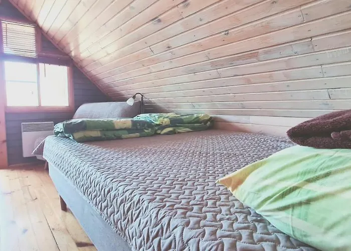 帕西隆比度假屋 * Otepää